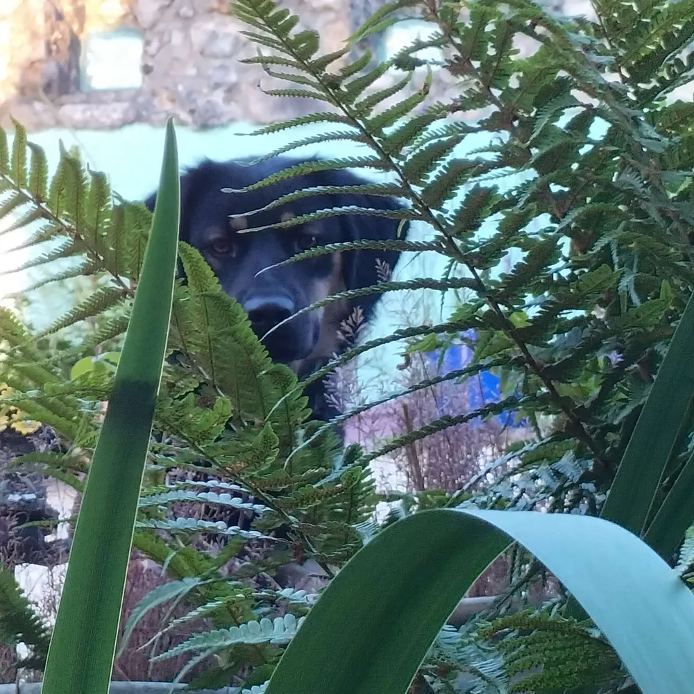 nessabee.bsky.social's profile picture