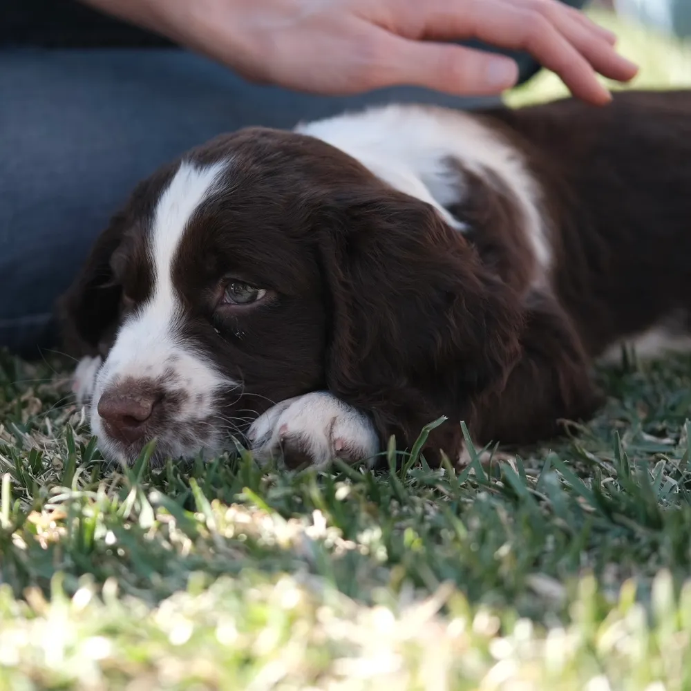 rbsnst.bsky.social's profile picture