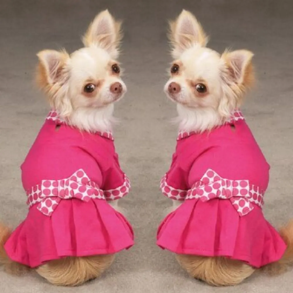 dumbmike.bsky.social's profile picture