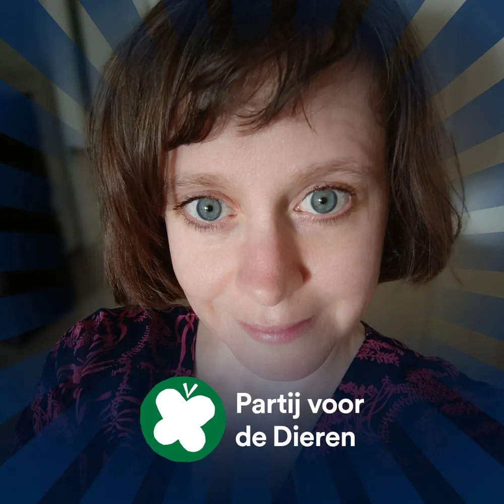 vergeetme.bsky.social's profile picture