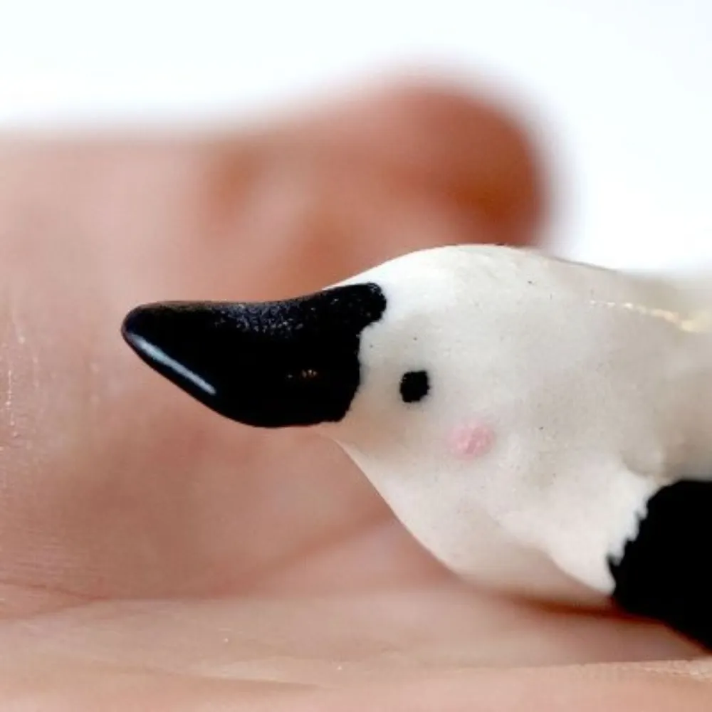 kness.bsky.social's profile picture