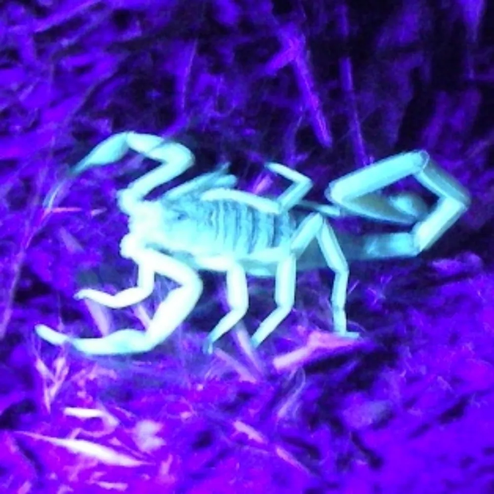 modusponens.org's profile picture