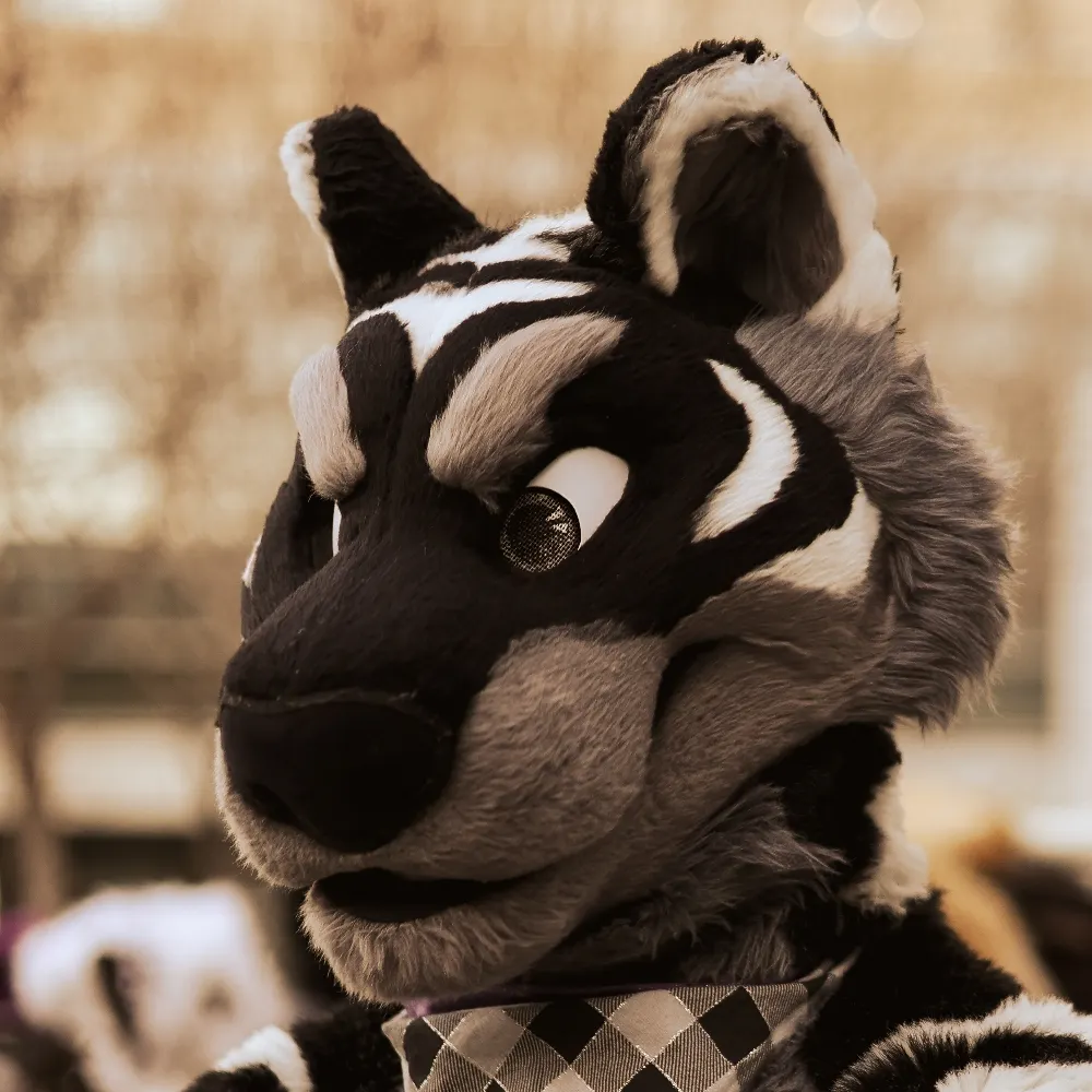 soka.bsky.social's profile picture