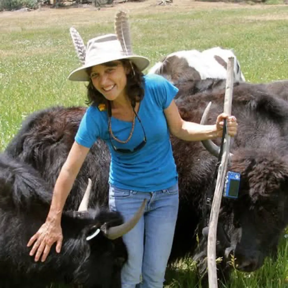 cjmcg1966.bsky.social's profile picture