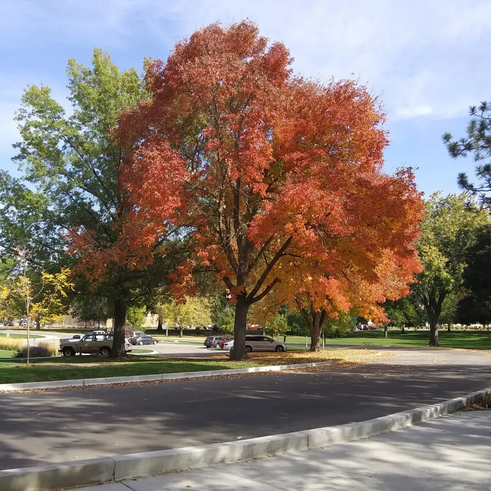 brenziekay.bsky.social's profile picture