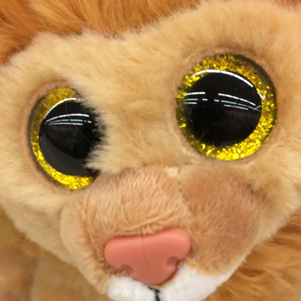 its-the-squirrels.bsky.social's profile picture