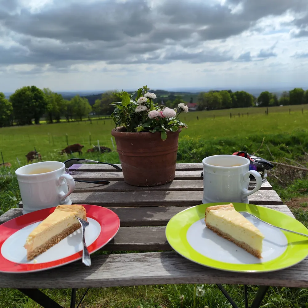 radfahrbot.bsky.social's profile picture