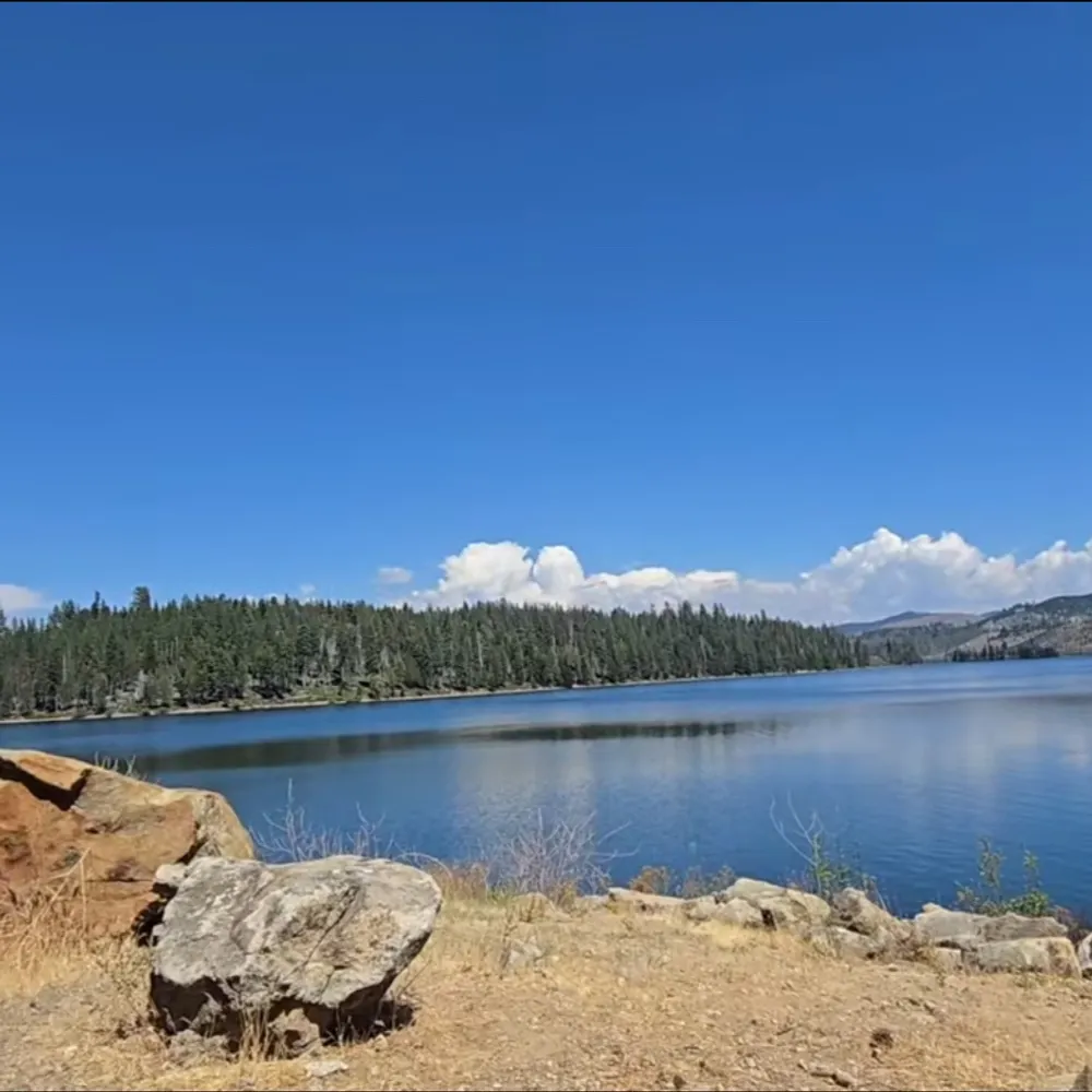 samfrayer.bsky.social's profile picture