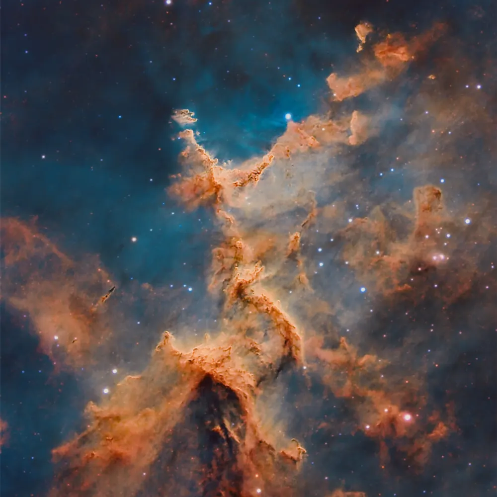 micahcf.bsky.social's profile picture