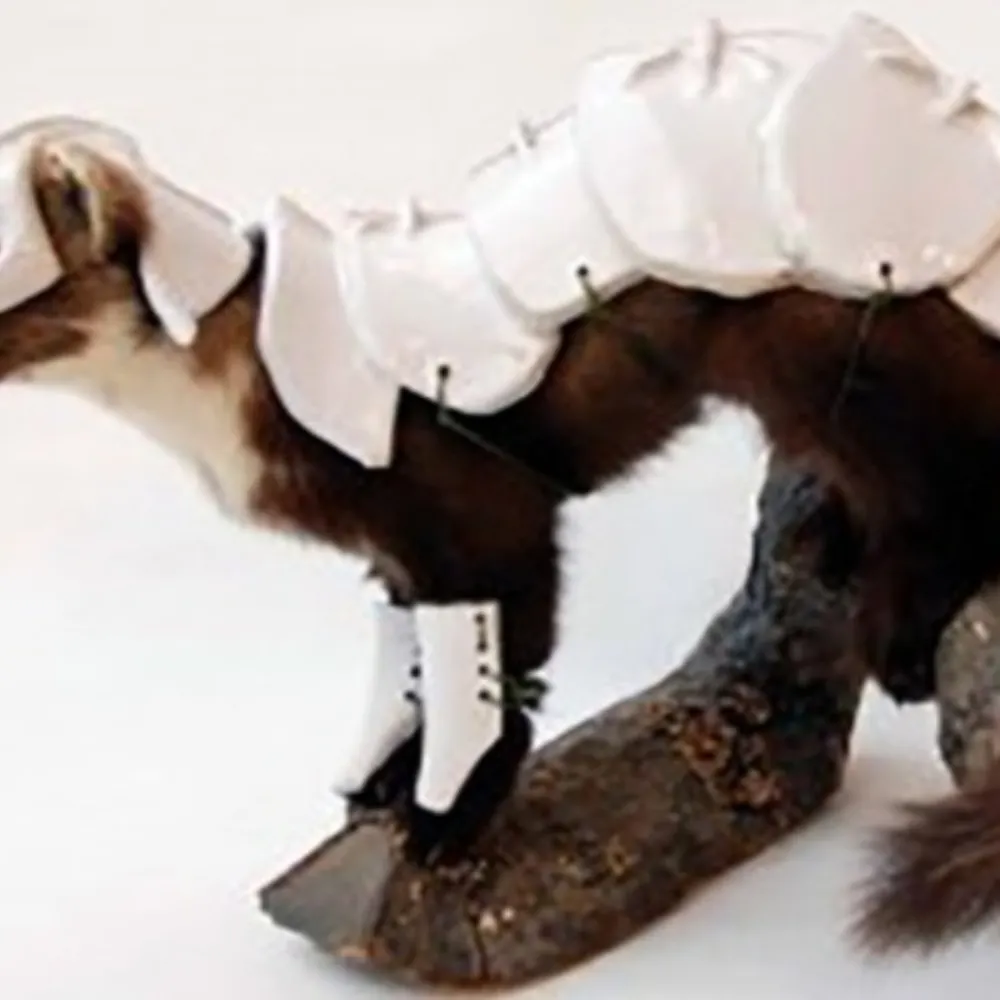 slinktheweasel.bsky.social's profile picture