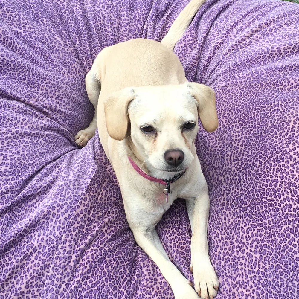 jtunes6.bsky.social's profile picture