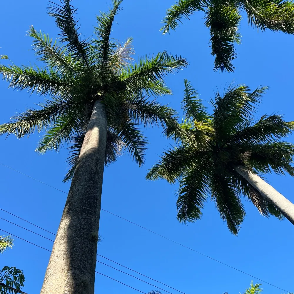 anita909.bsky.social's profile picture