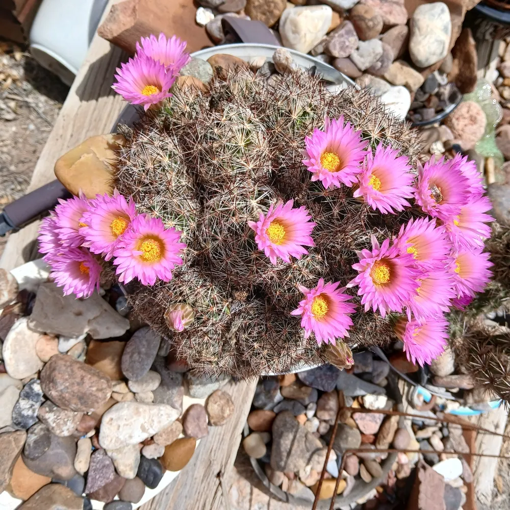 godswrath699.bsky.social's profile picture