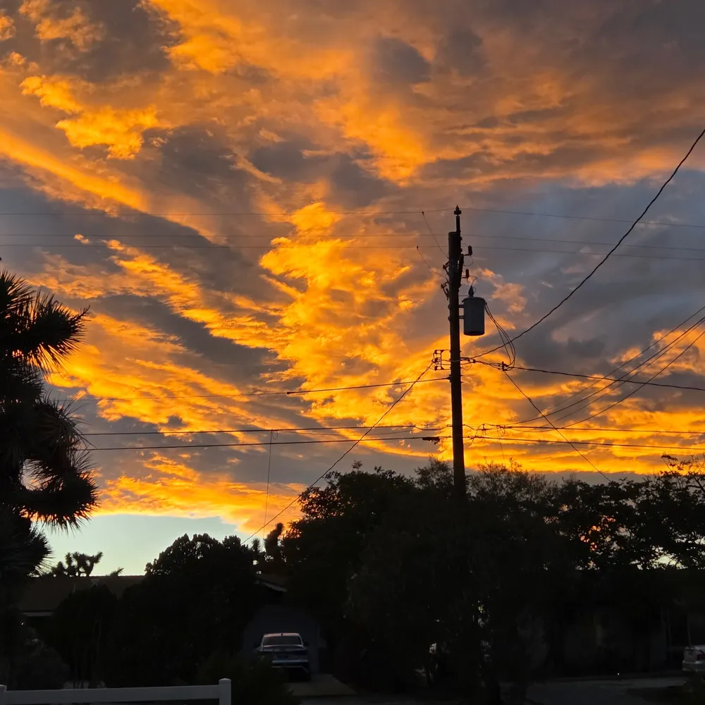 thizizlizreally.bsky.social's profile picture