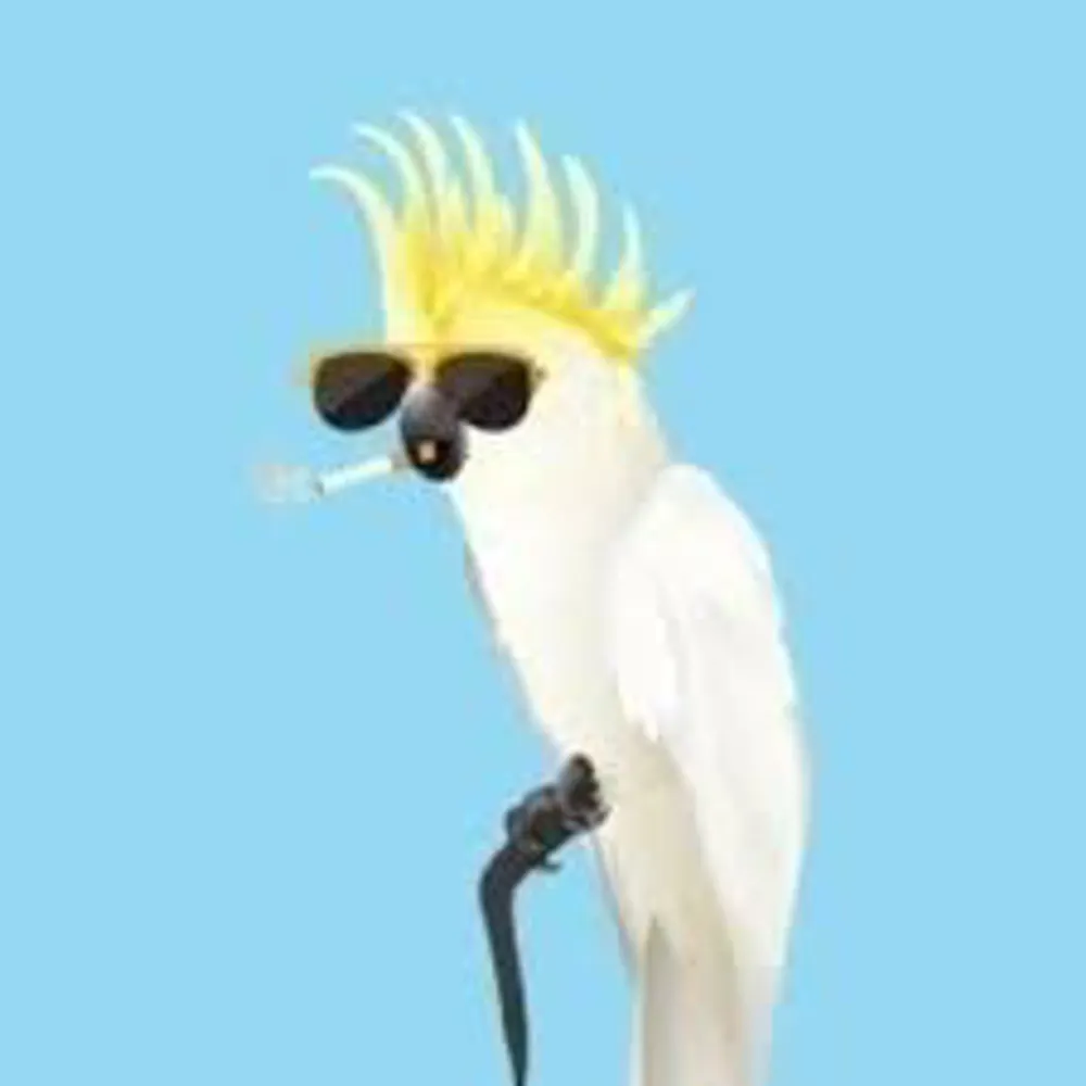 birdrespecter.bsky.social's profile picture