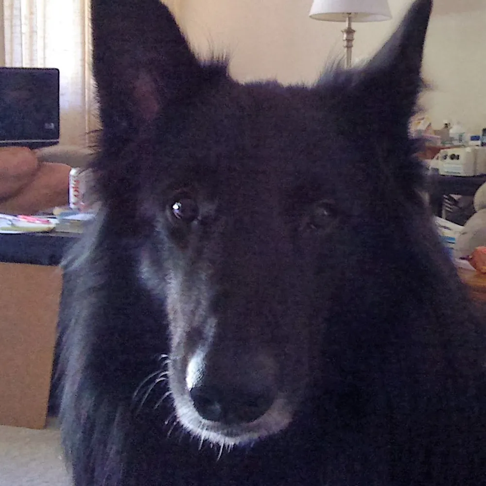 cooperhamilton.bsky.social's profile picture