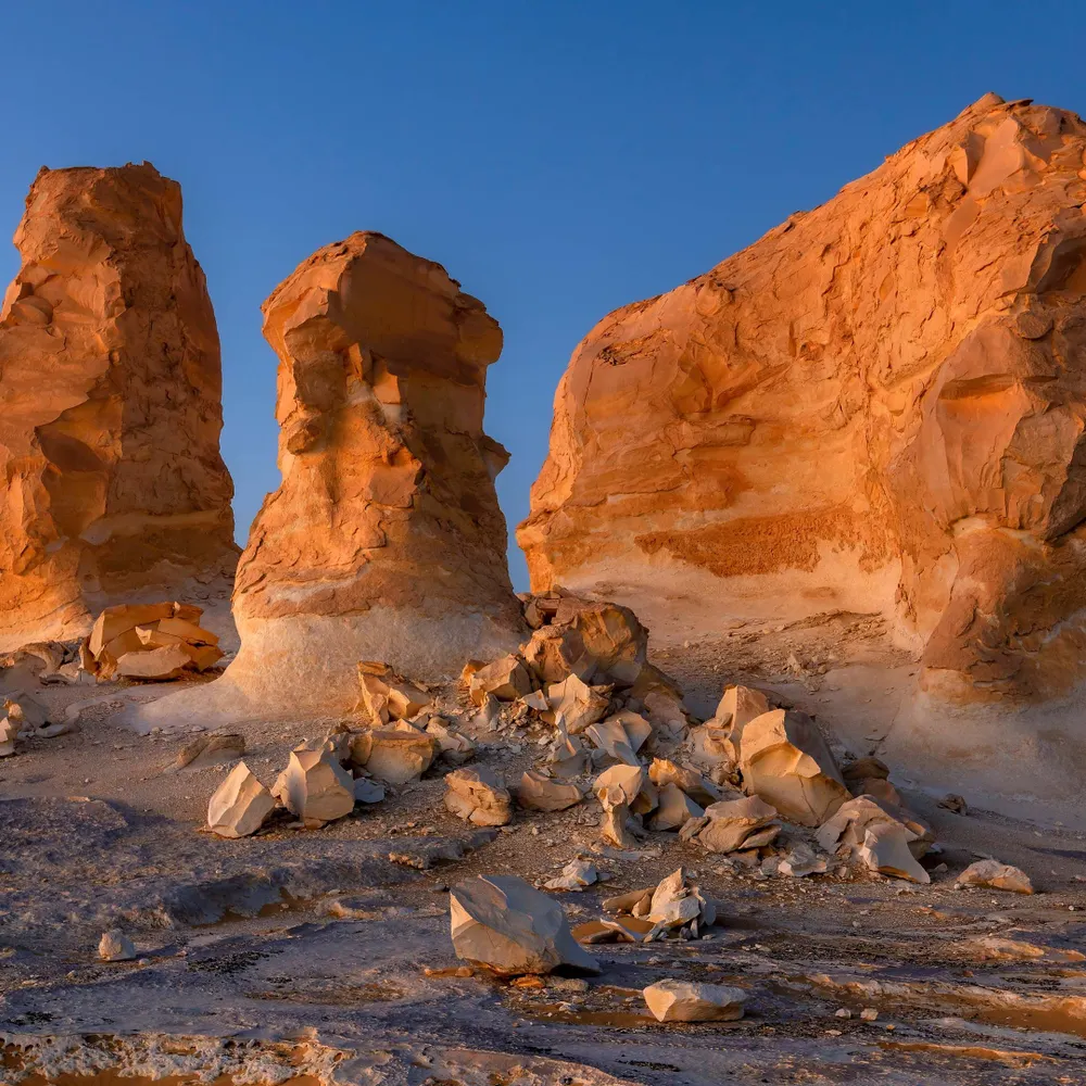 deemw.bsky.social's profile picture