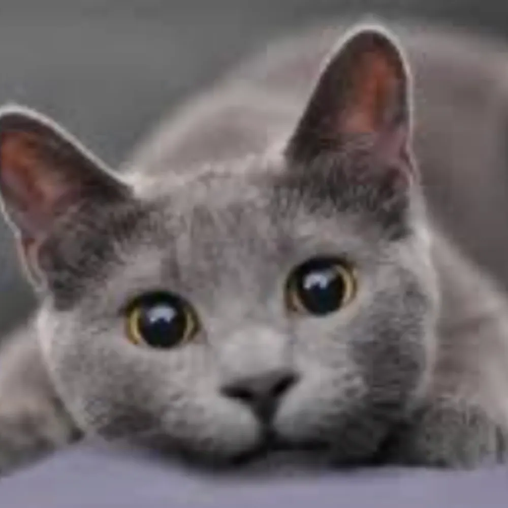 s-ort.bsky.social's profile picture