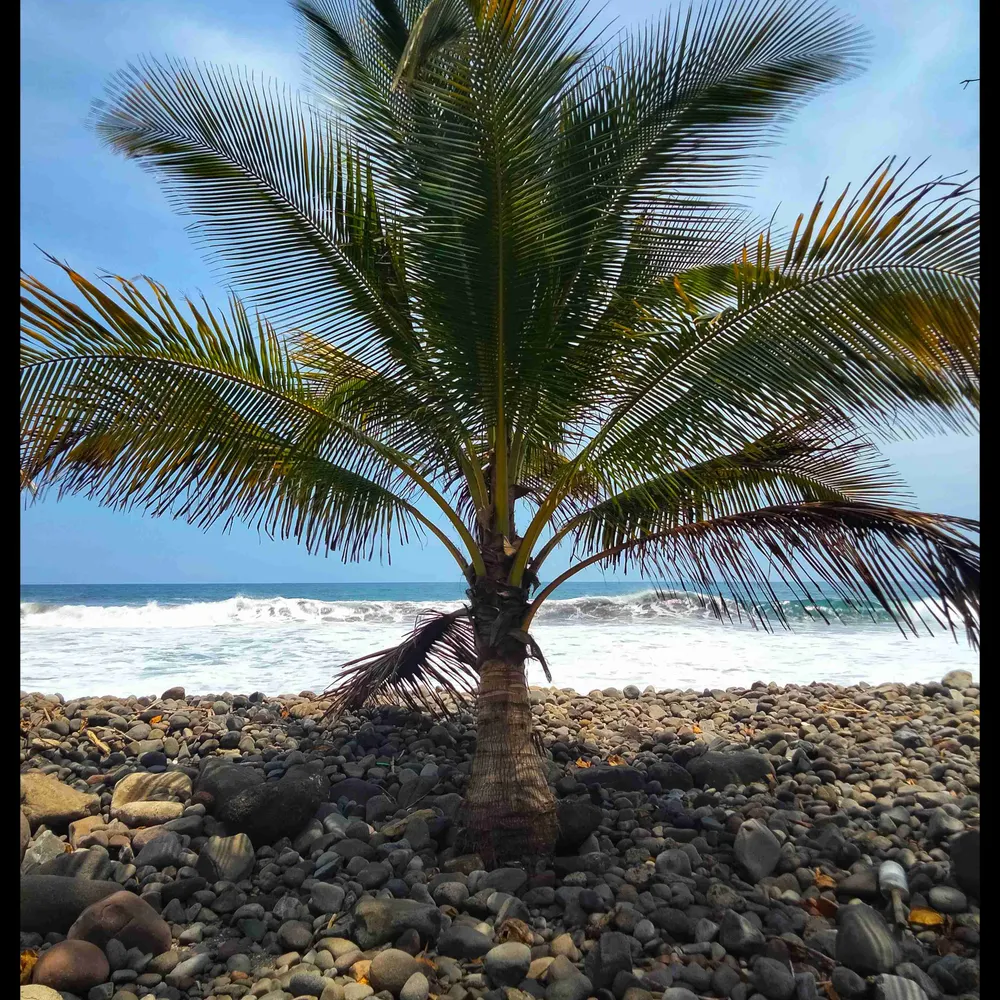 matthew-ds9.bsky.social's profile picture