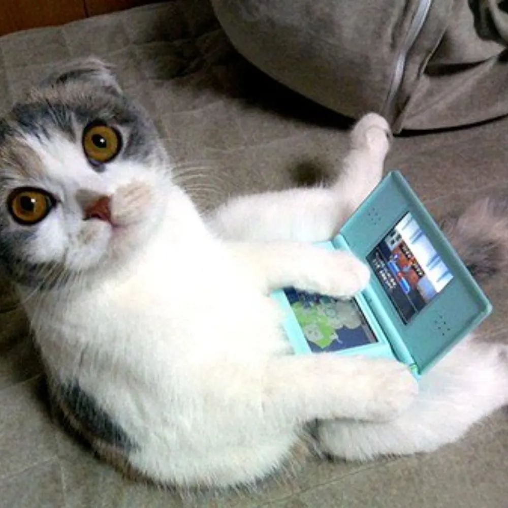 hackkitten.bsky.social's profile picture