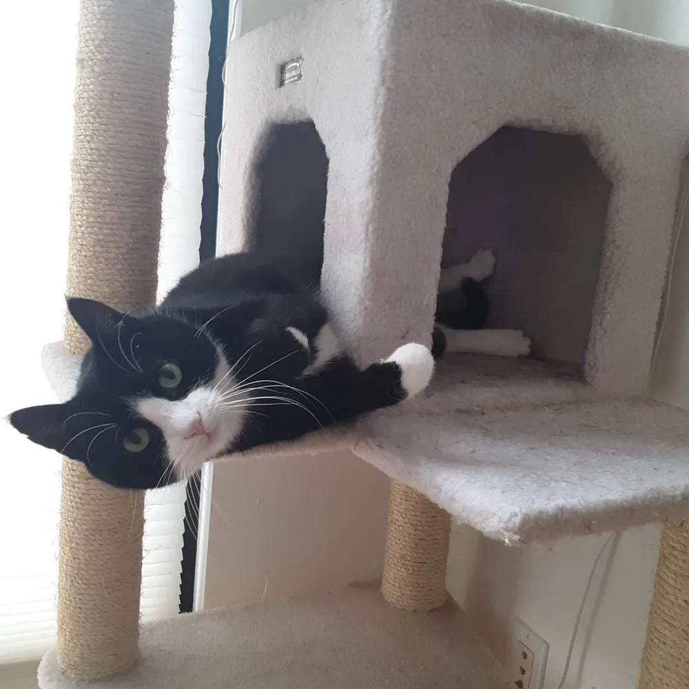 ellieyellu.bsky.social's profile picture