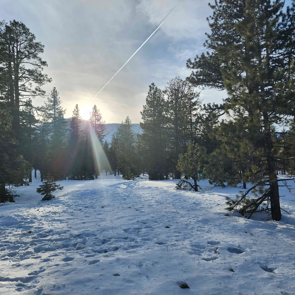 loudpenitent.bsky.social's profile picture