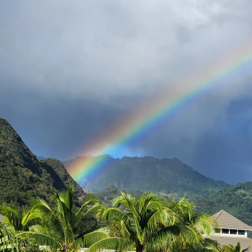 143jazzydoodle.bsky.social's profile picture