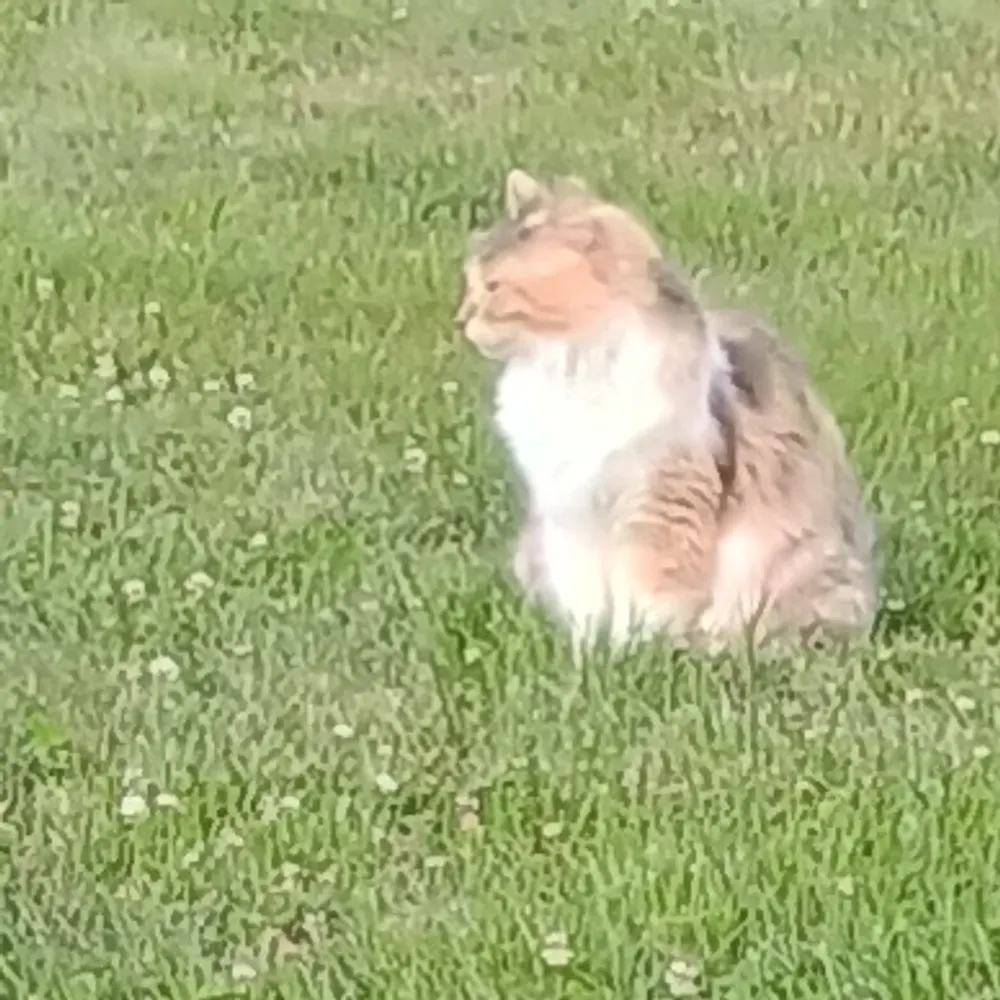 jessincolor.bsky.social's profile picture