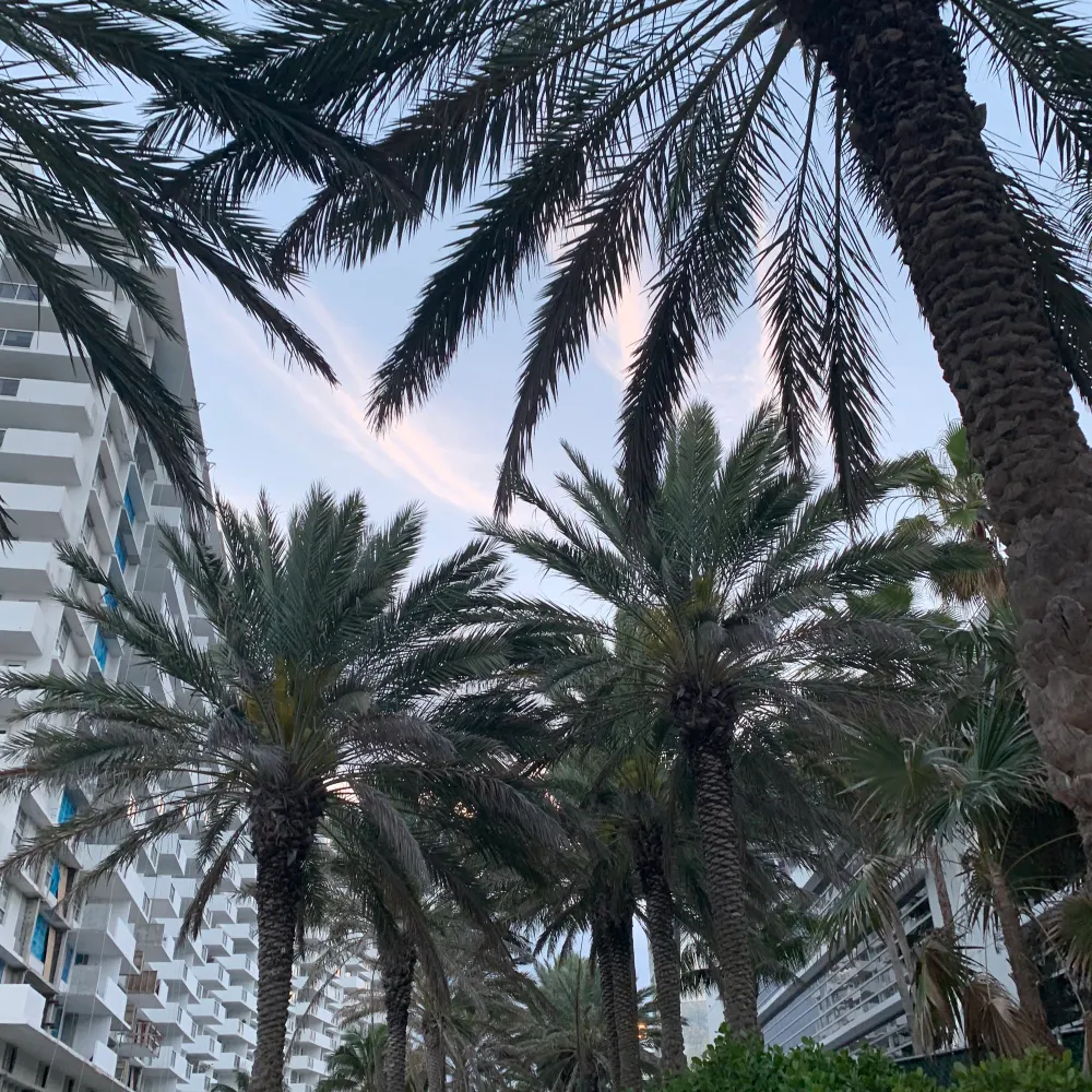 supernovagal.bsky.social's profile picture