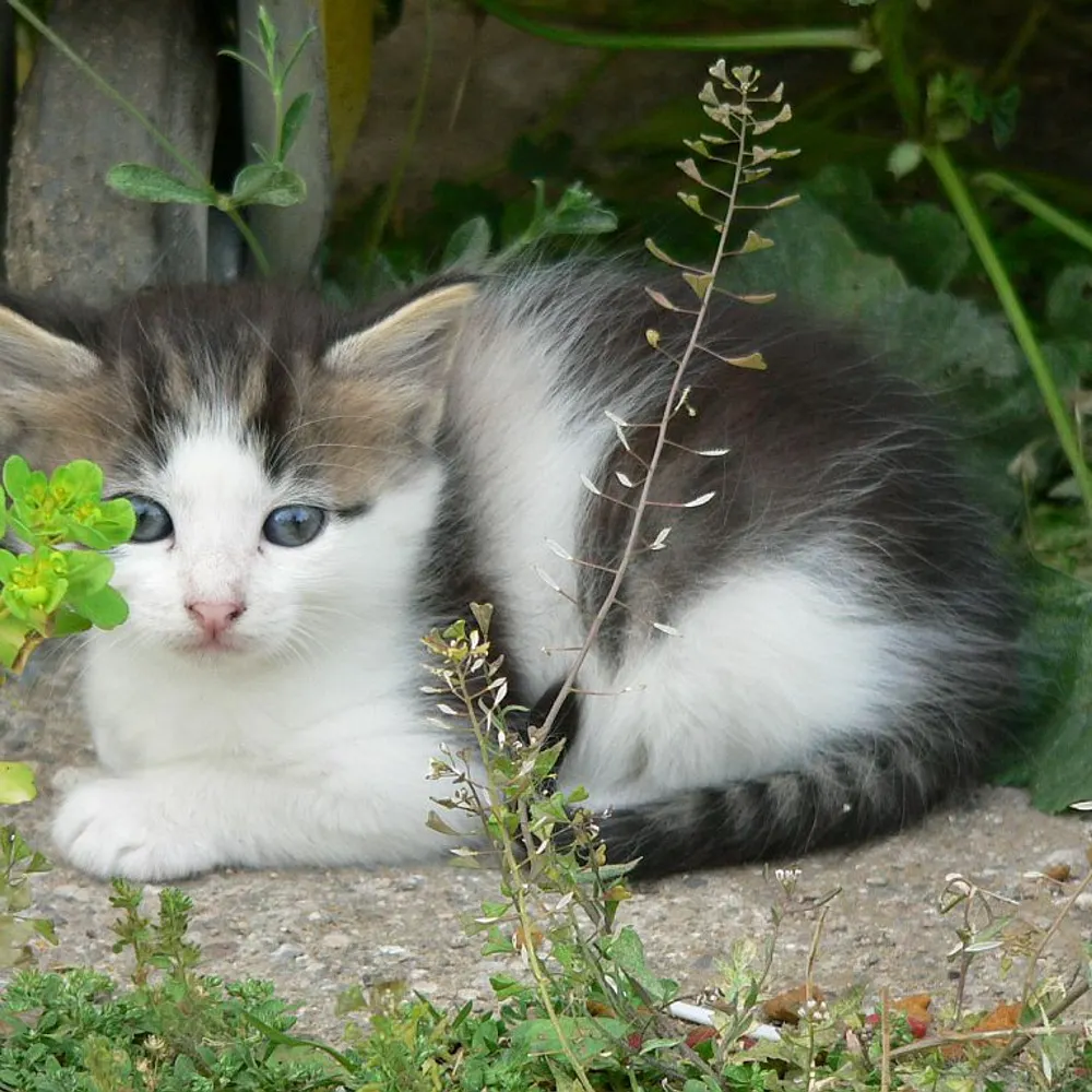 kmcn13.bsky.social's profile picture