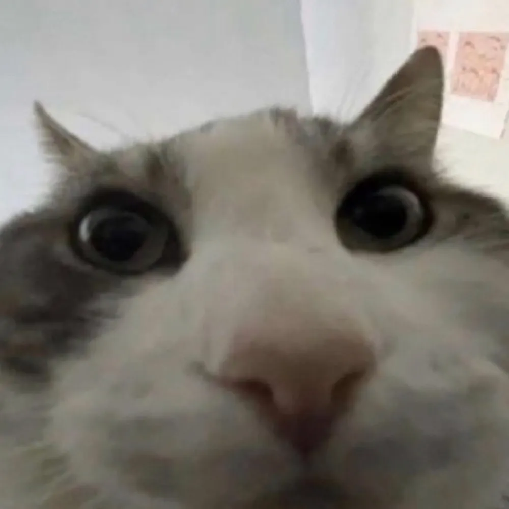 mars313.bsky.social's profile picture