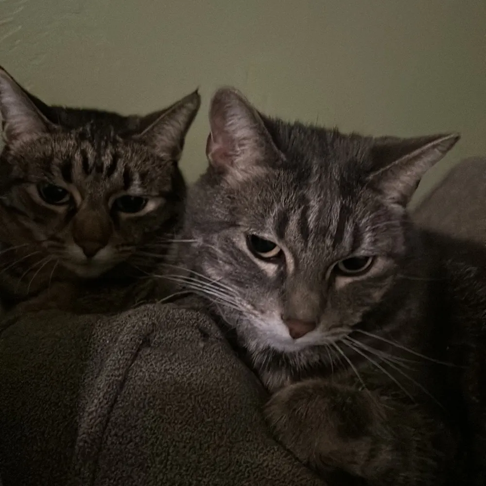 miaganga.bsky.social's profile picture