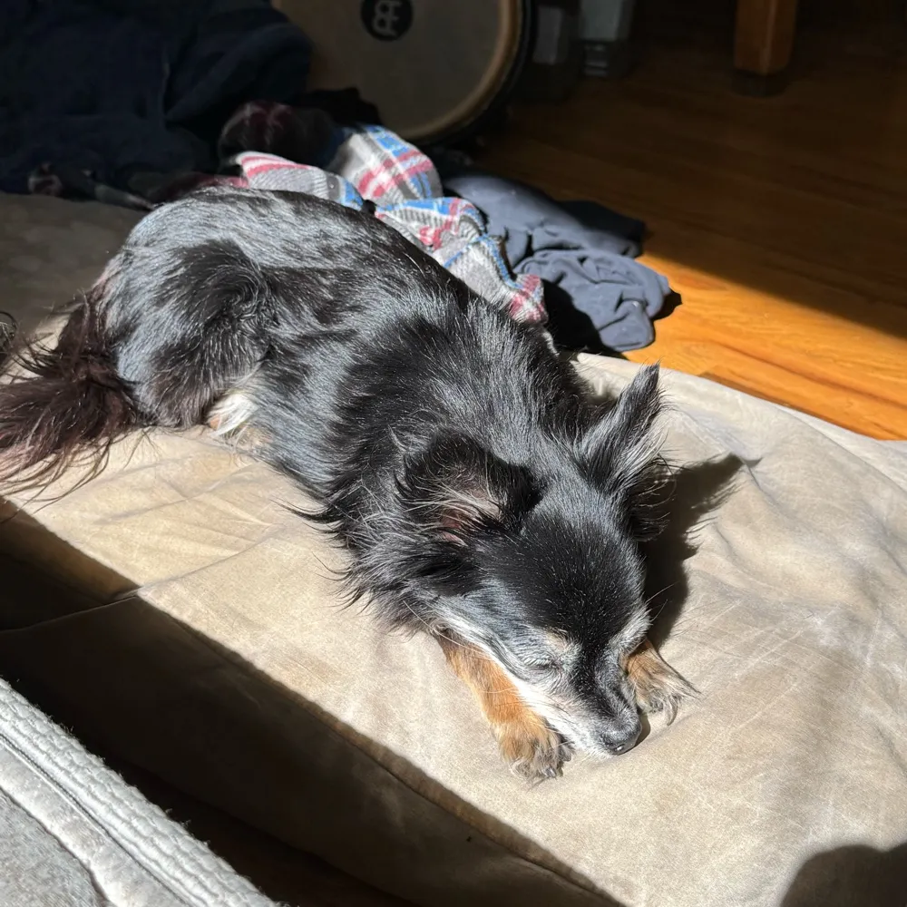 justodude.bsky.social's profile picture