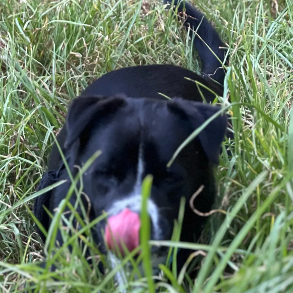 briebrie.bsky.social's profile picture