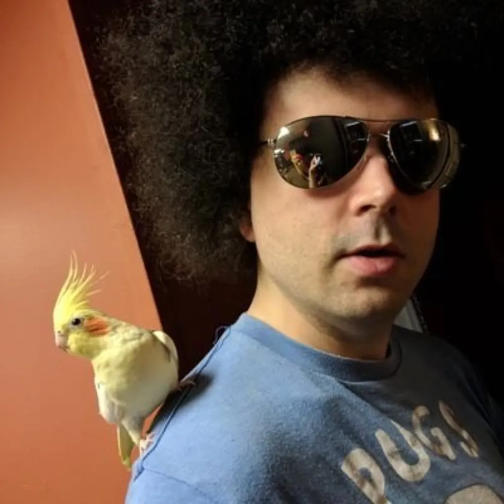 mongoebooks.bsky.social's profile picture