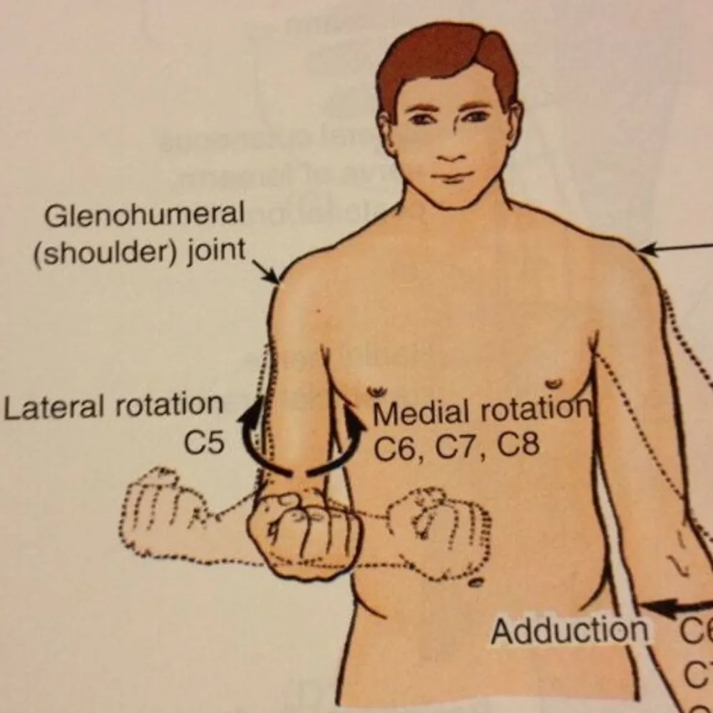 agremlin.bsky.social's profile picture