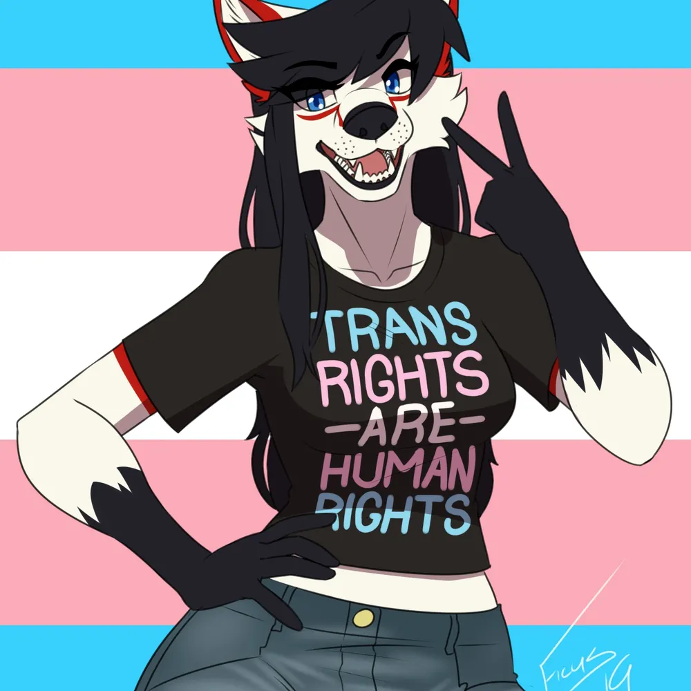 alexisw16.bsky.social's profile picture