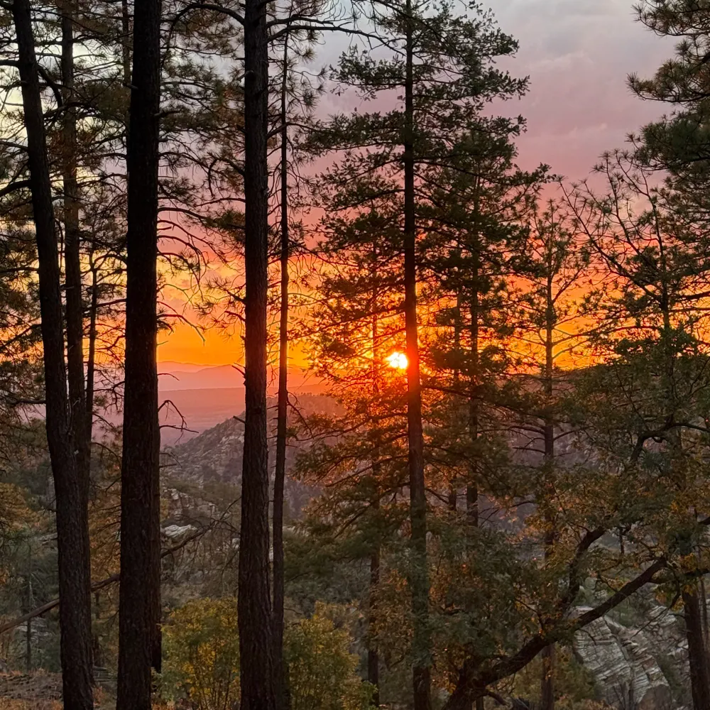 avi-kado.bsky.social's profile picture