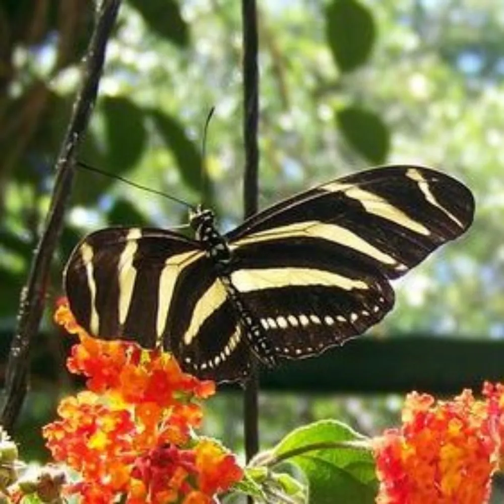 terramachina.bsky.social's profile picture