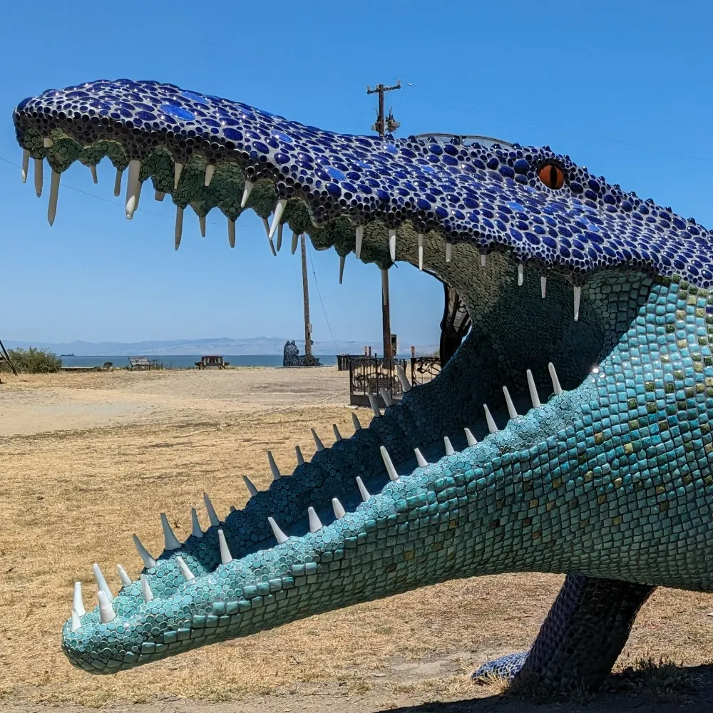 turtlebee.bsky.social's profile picture