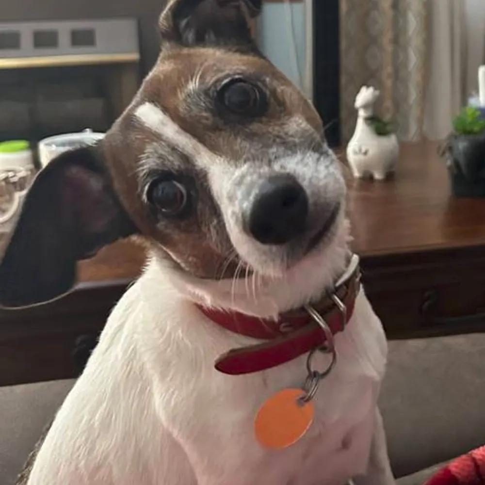 jamesgilstrap.bsky.social's profile picture