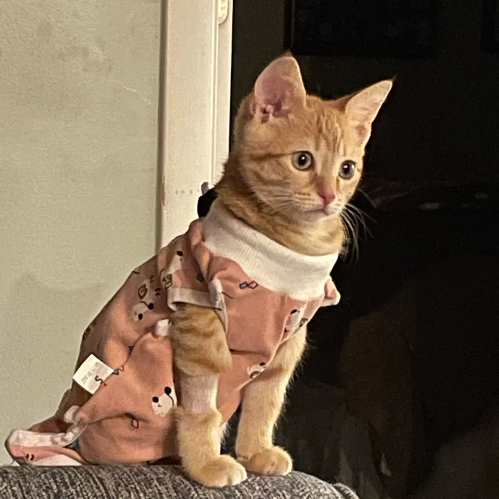 rome73.bsky.social's profile picture