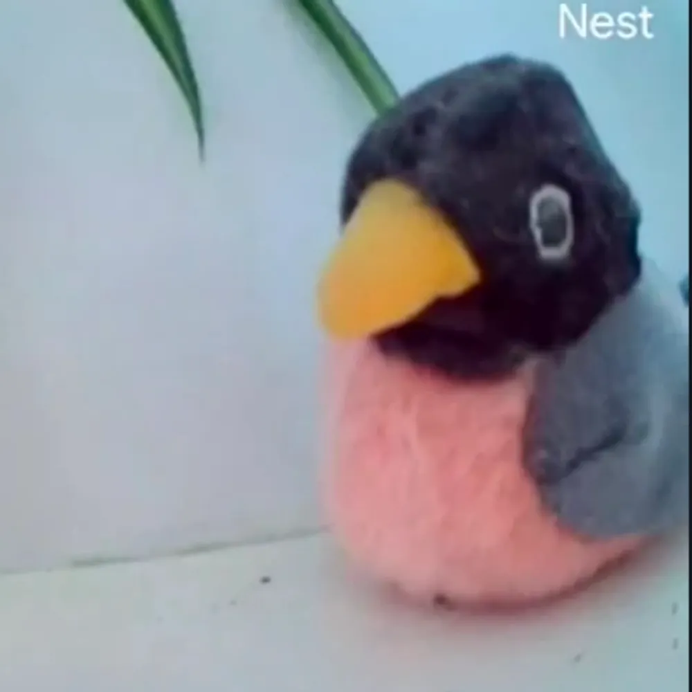 remotelyinterested.bsky.social's profile picture