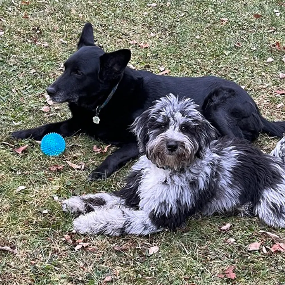 mumsy89.bsky.social's profile picture