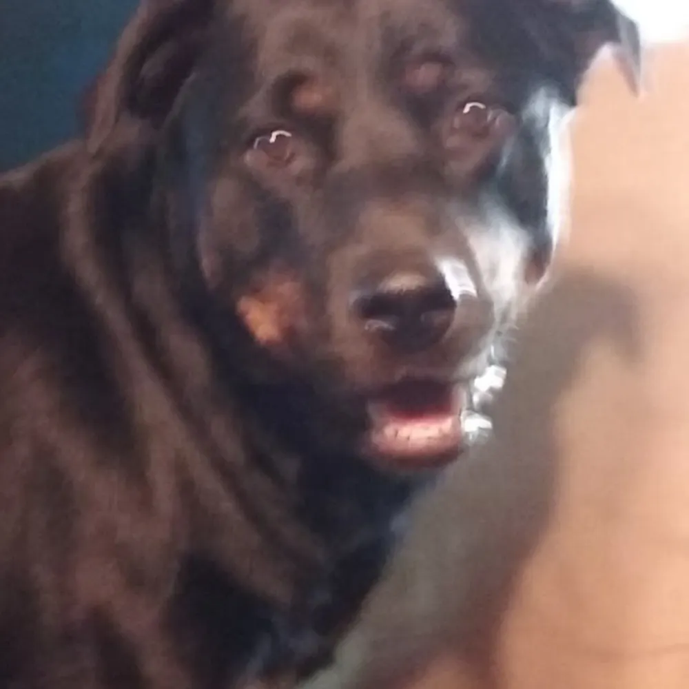 jasoncampbell617.bsky.social's profile picture