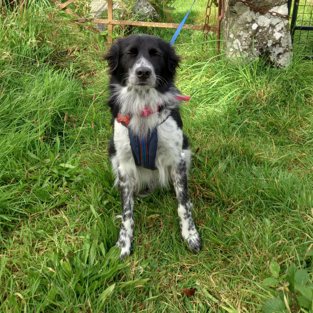 cyclyn.bsky.social's profile picture