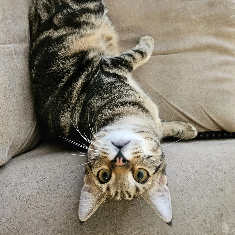 gardenersherry3.bsky.social's profile picture