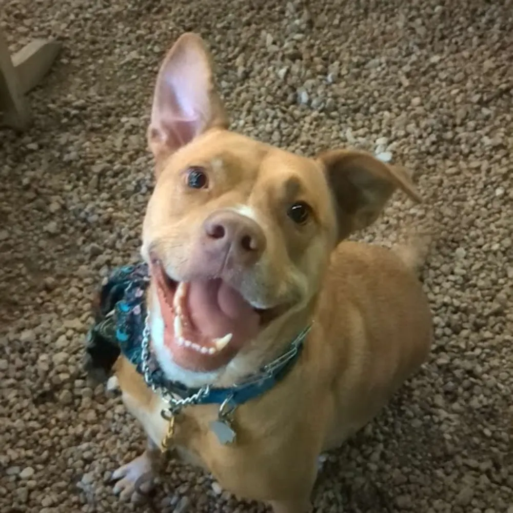 neuroid99.bsky.social's profile picture