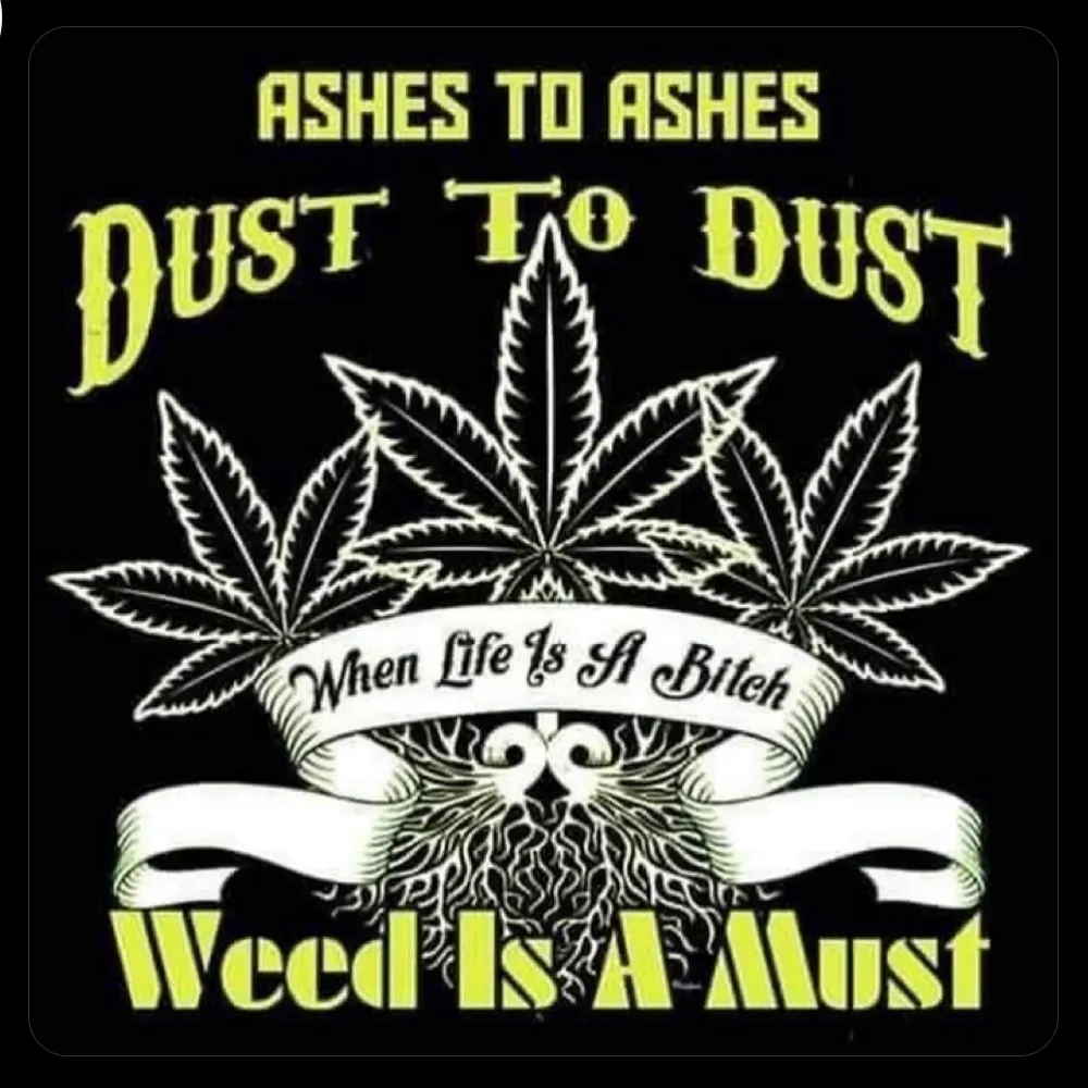 schirleefae.bsky.social's profile picture