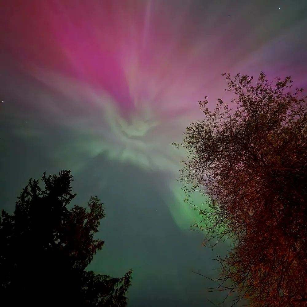 specialistnaps.bsky.social's profile picture